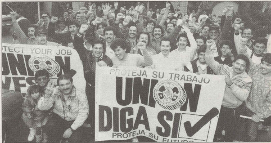 Black and white image featuring a group of men raise their fists in celebration. The hold a sign in Spanish reading, "Union, Yes!"